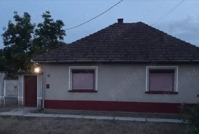 Casă cu Teren 3435 Mp în Boiu - 13