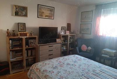 Case cu 7 camere, 2 bucatarii si 3 bai, intr-o curte cartierul Gradiste - 4
