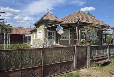 Casă cu 3 camere cu Teren 5000 Mp în Central - 3