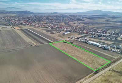 Teren Extravilan, P.U.Z. inceput - 7