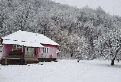 Casă cu 2 camere cu Teren 4721 Mp în Lunca Vișagului - 2