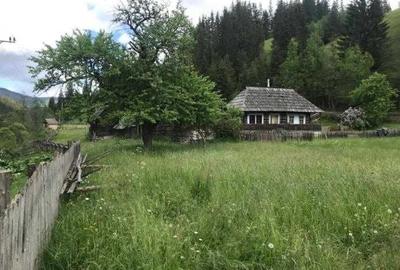 Casă cu 3 camere în Breaza - 5