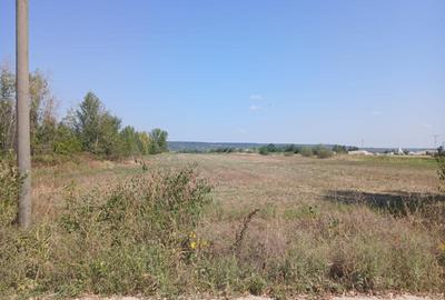Teren comuna Cateasca, Lunca Argesului (langa balastiera) 9000mp - 1
