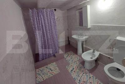 Casa individuala cu 3 camere, 217 mp utili,2800 teren,Intregalde - 9