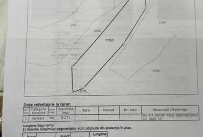 Teren de 8271 mp, în Cerbăl - 3