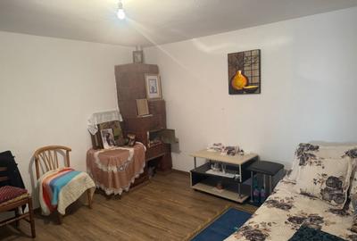 Casă cu 5 camere cu Teren 3279 Mp în Ciutura - 10