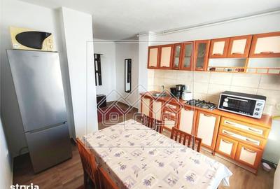 Apartament cu 2 camere decomandat în Turnișor - 7