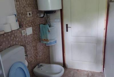 Casă în Ocolișu Mare - 7