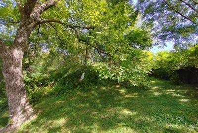 Proprietate alcatuita din imobil si teren generos,Comarnic - 17