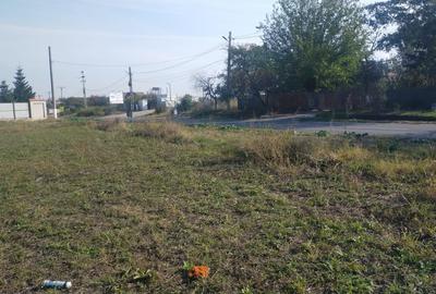 Teren în Dascălu - 8