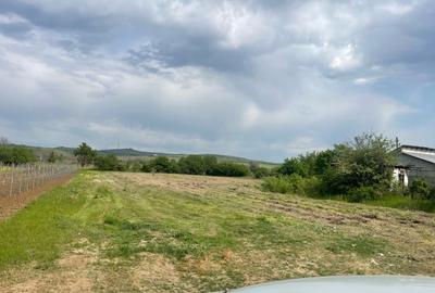 Teren Construcții intravilan de 3176 mp, în Valea Călugărească - 1