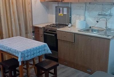 Ofer spre inchiriere apartament 1 camera str. Radu Teoharie - 5