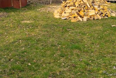 Casă cu 3 camere cu Teren 1400 Mp în Avram Iancu (Vârfurile) - 2