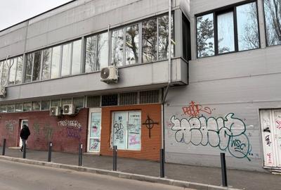 Spatiu Comercial sau de depozitare Drumul Taberei - 2