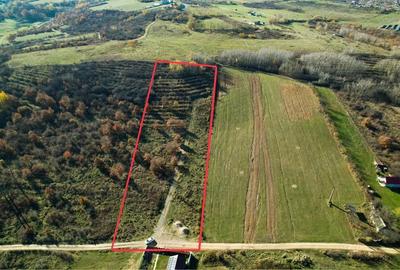 Teren 7744 mp la Coada Noului Lac de Agrement Baile Felix - 1