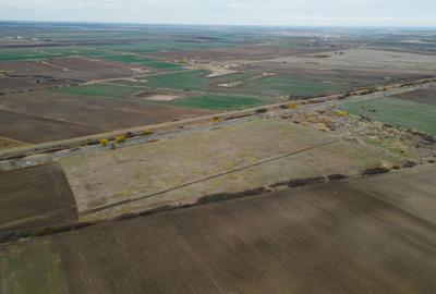 Teren 22.500 mp – Pecica, jud. Arad - 7