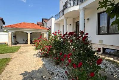 Dudu Chiajna, vanzare vila de lux - 6