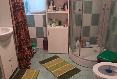 Casă cu 3 camere în Mogoșești - 16