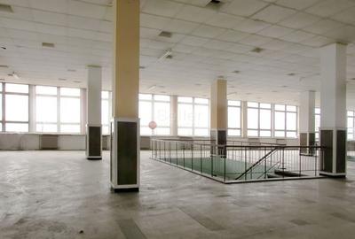 Diverse activitati comerciale si office - 4