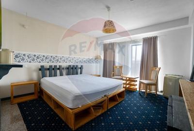 Hotel/Pensiune, de 2,979.4899902344 mp, în Murighiol - 19