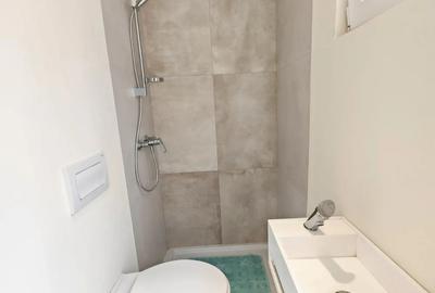 Casa, DIRECT PROPRIETAR, ultracentral Arad Podgoria - 7