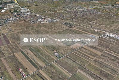 Teren Industrial, 18.000mp, Magurele, Str. Bucuresti-ID 15464 - 4