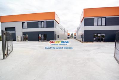 Hala 572 mp Chiajna - 10