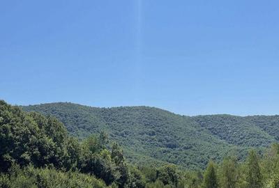 Teren Extravilan in mijlocul naturii. - 4