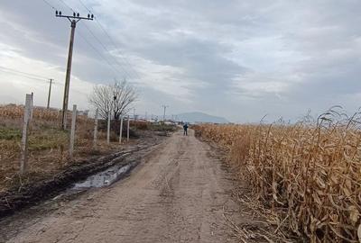 Teren intravilan industrial,str.Durau - 6