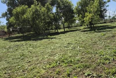 Teren de 1500 mp, în Sălcioara - 7