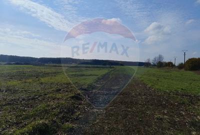 Teren Construcții intravilan de 800 mp, în Ghermănești - 6