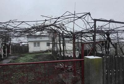 Casă cu Teren 1140 Mp în Străjescu - 3