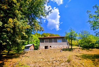 CASA TRADITIONALA, ANEXE si 46.980 mp teren partial INTRAVILAN BULZ - BIHOR - 15
