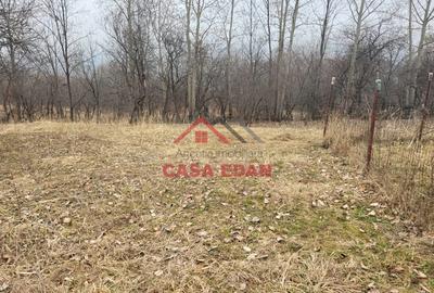 Casă cu Teren 1358 Mp în Gura Beliei - 2