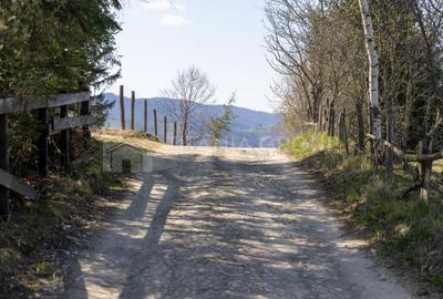 Teren Construcții intravilan de 3791 mp, în Poiana Mărului - 6