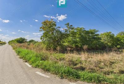 Teren intravilan 6115mp pentru investi?ii Firiteaz - 6