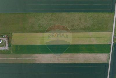 Teren 42,000mp Tarlungeni / Strada Izvor - 12