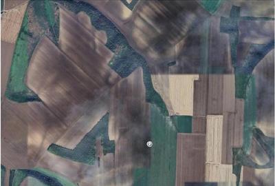 Teren Negureni, cota parte 1/8, ID: R2695094 - 3