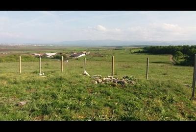 Teren de 607 mp, în Rusciori - 5