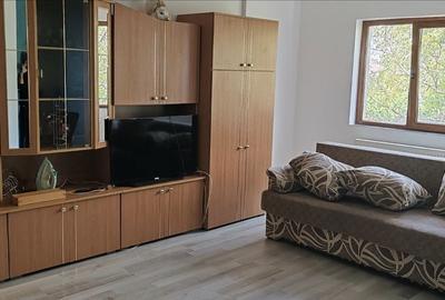 Apartament cu 2 camere decomandat în Roșu - 8