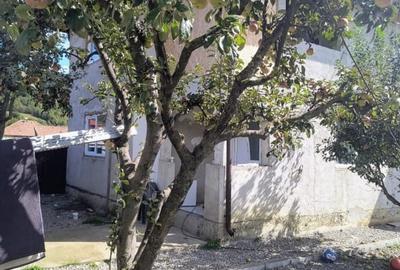 Casa renovata in Preluci la 12 Km de Comanesti , fantana si centrala proprie - 18