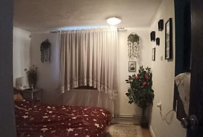 Valea Borcutului, casa 23 ari teren - 2