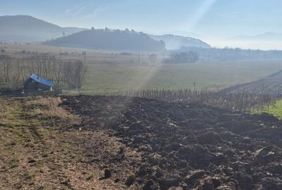 Teren extravilan intrare Bod din Sanpetru pentru investitie sau parcelare - 1