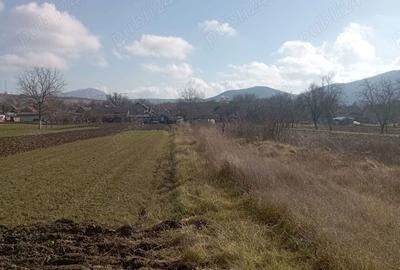 Teren de 2000 mp, în Brănișca - 9