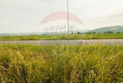 Teren Bod -Strada Harmanului, 732mp, posibil 1098mp/ 2196mp, utilitati - 6