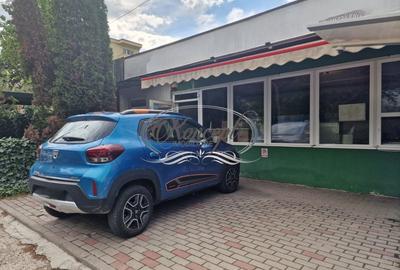 Spațiu comercial, de 50 mp, în Zorilor - 1