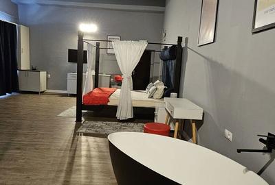 Spațiu comercial, de 46 mp, în Lotrioara - 6