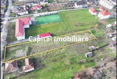 De vanzare: Teren 25 ari parcelabil, in Sasar - 4