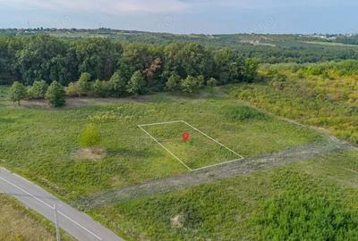 Teren intravilan -700 mp in Paleu, Bihor- intre padure ?i lac, cu PUZ aprobat Teren intravilan -700 mp in Paleu, Bihor- intre padure ?i lac, cu PUZ aprobat - 4