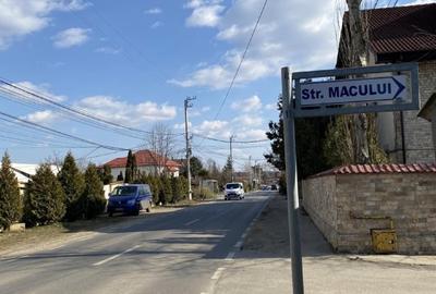 15000 mp padure! - 3